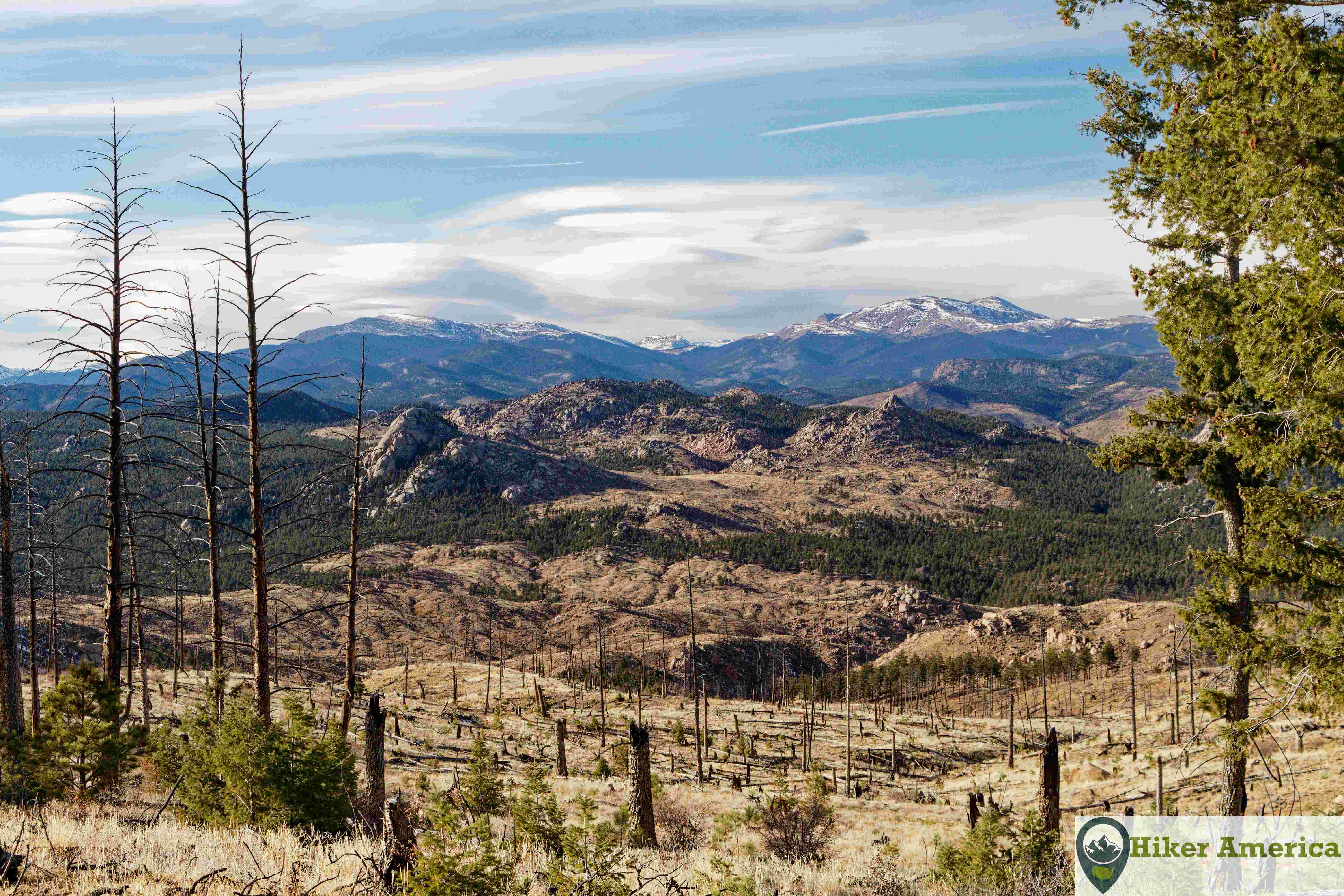 Burnt forest and mountains on the Buffalo Burn Trail.